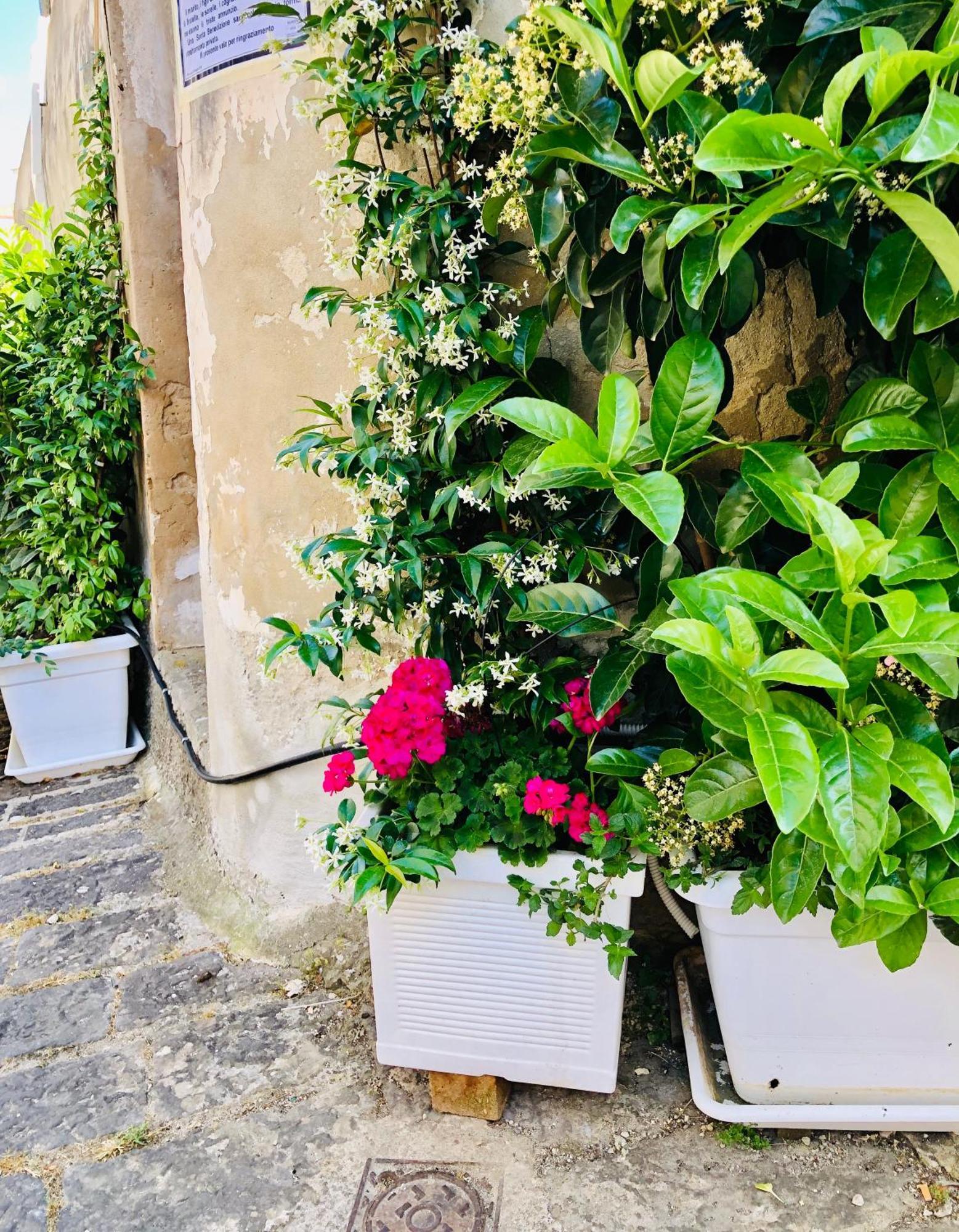 A Casa Da Anita Vila Palazzolo Acreide Exterior foto